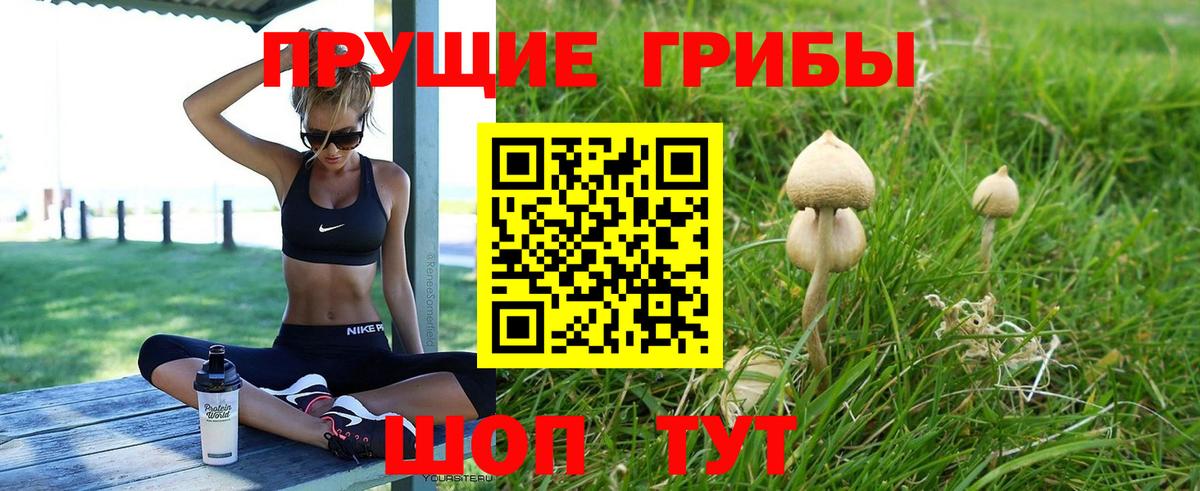Апатиты  Галлюциногенные грибы Magic Shrooms  Псилоцибиновые грибы Magic Shrooms  Вход с VPN 